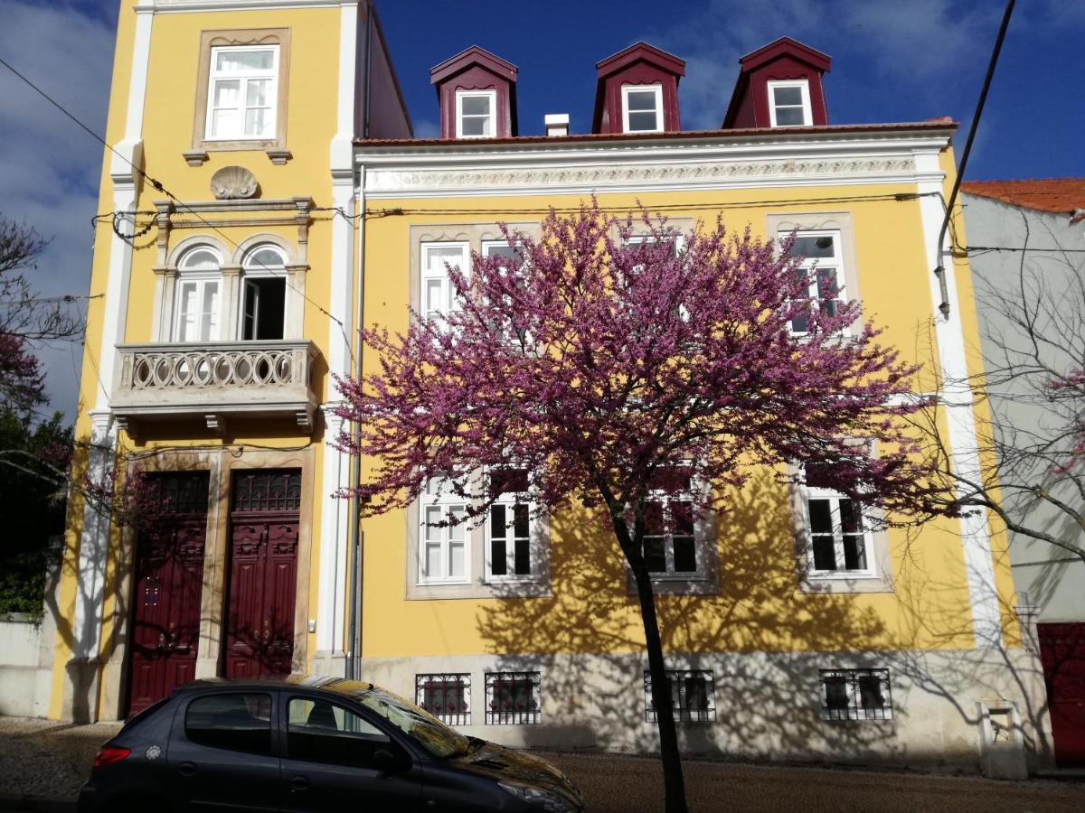 Ah33 - Estudios Coimbra Exteriér fotografie